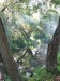 Кирилл Курятников фотография #11