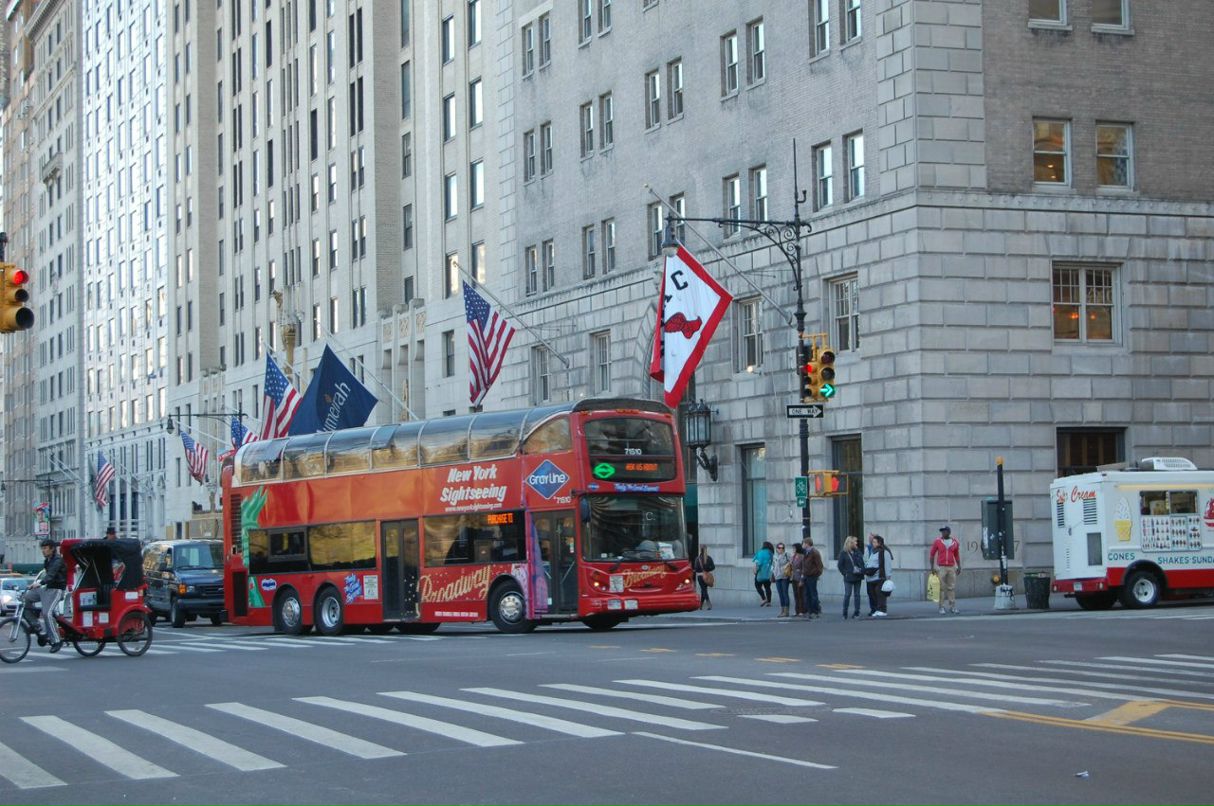 Дарья Тарасова Александровна | Dallas