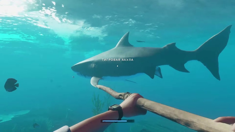 ВЕЧЕРНИЙ СТРИМ STRANDED DEEP СЕРИЯ 3 ПЕРЕБРАЛИСЬ НА ДРУГОЙ