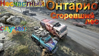🔥👨‍🚒🧯🌳ОНТАРИО🌲🧯👨‍🚒🔥СГОРЕВШИЙ🔥🌲ЛЕС🌳 🚒🐈‍⬛НЕСЧАСТНЫЙ😕СЛУЧАЙ🔀   ЭТО НУЖНО ЗНАТЬ🚦ПОДП.ϯ
