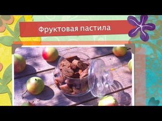 Пастила фруктовая (сыроедческая, без термообработки)
