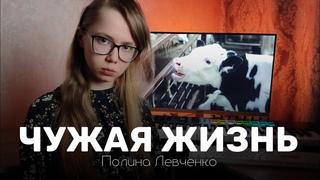 Полина Левченко  Чужая жизнь || Песня вегана о животных и людях (Mood Video)