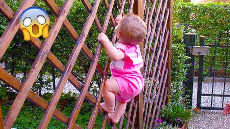 Funniest Sneaky Babies Steal Everything, FAILS