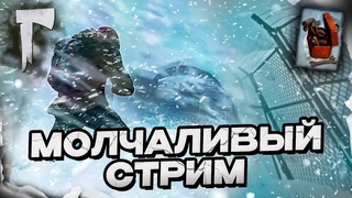 4# Молчаливый стрим  Берегите Себя!