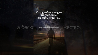 Такая выпала судьба Выбери другую | Вадим Зеланд | #трансерфинг #зеланд #эзотерика #shorts