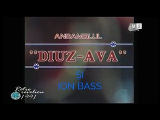 Ansamblul Diuz-Ava i Ion Bass Hopa, Hopa