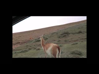 Patagonia road timelapse