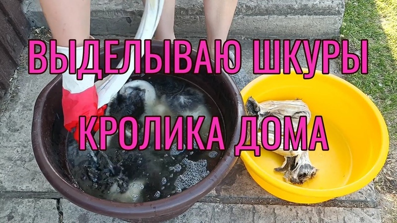 Выделка шкур кролика в домашних