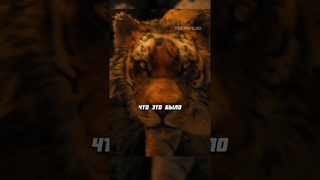 Всё кошки одинаковые  Доктор Дулиттл (2020)  #фильм #сериал #моменты #кино #shorts