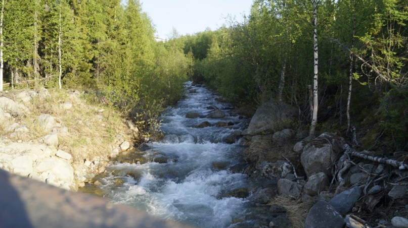 Елена Свечникова | Вуктыл