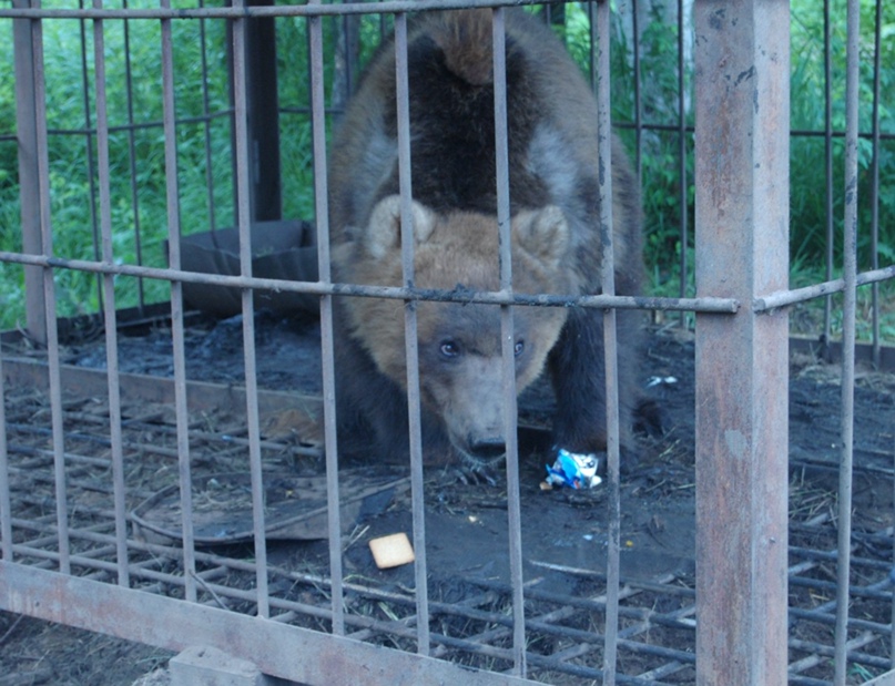 Ирина Латышева | Москва