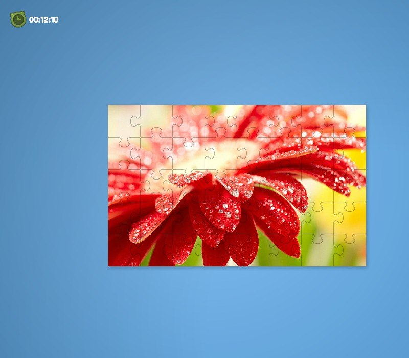 Алексей Лимонов | Санкт-Петербург