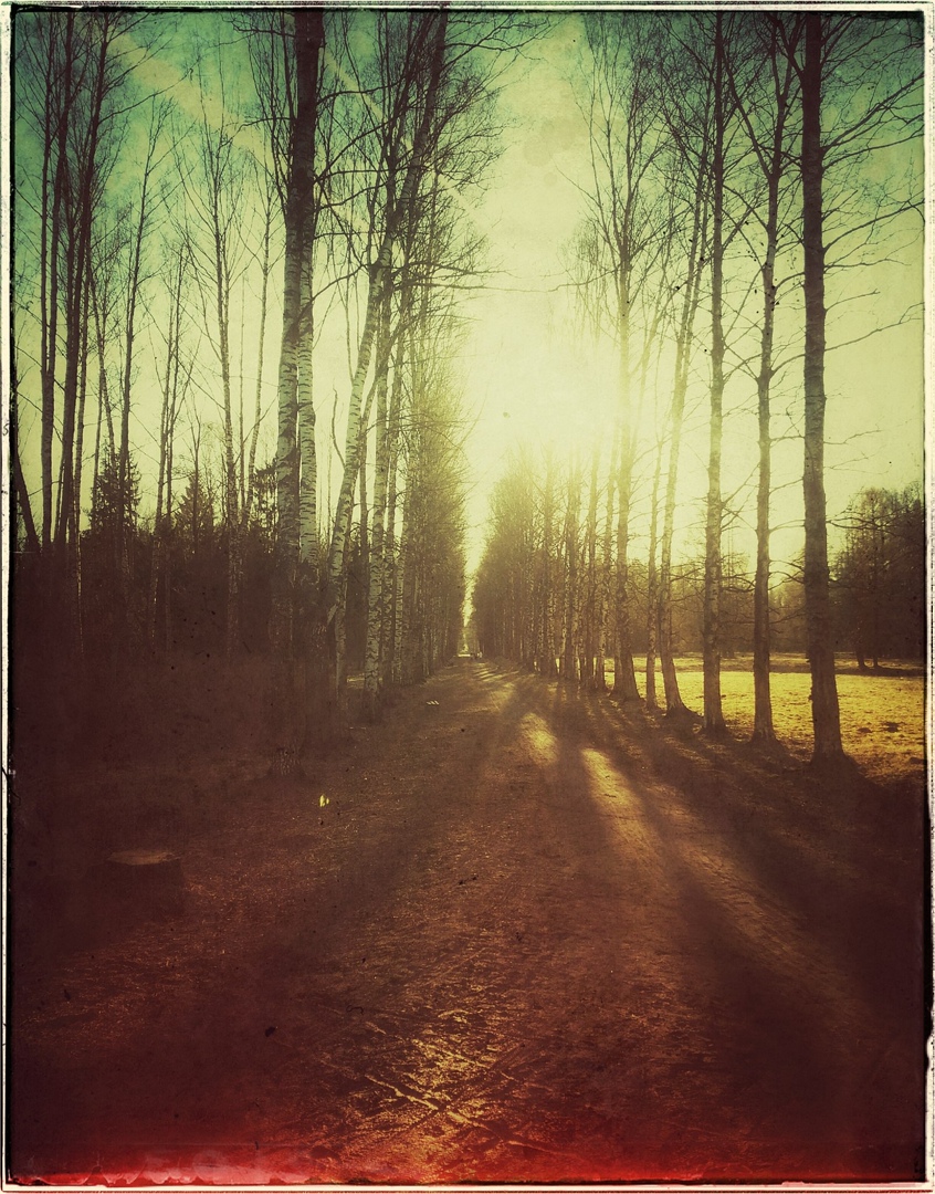 Ярослав Ковальский | Санкт-Петербург