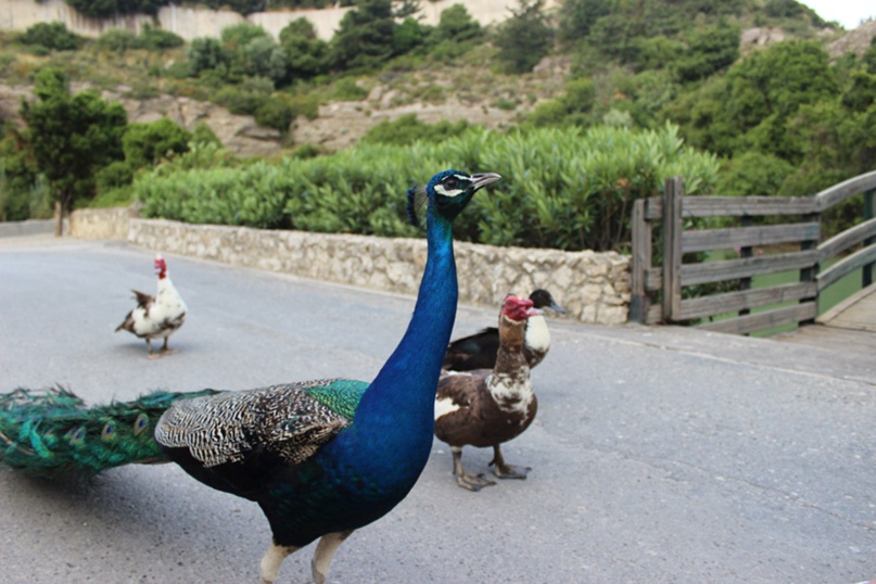 Валентина Феоктистова | Санкт-Петербург