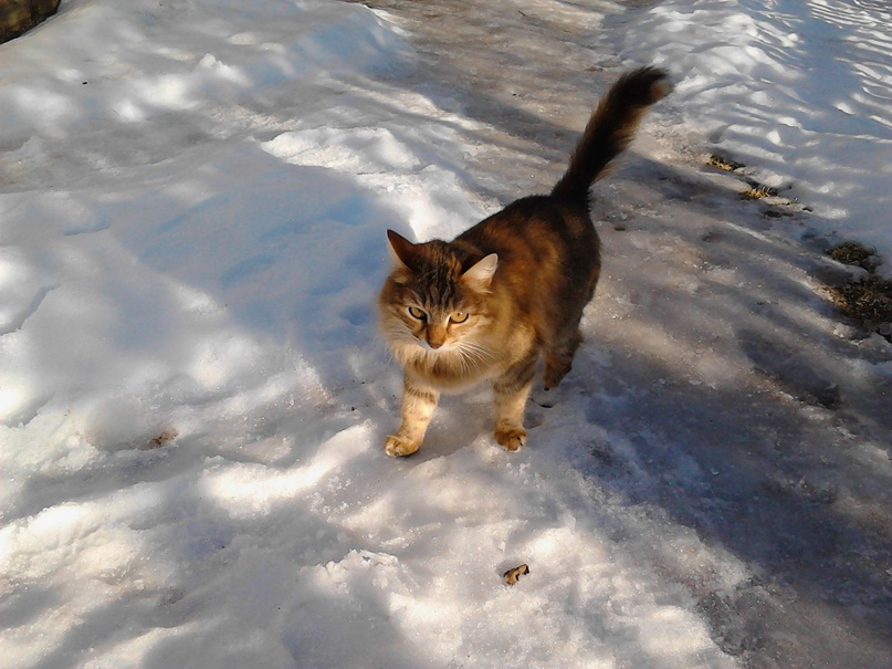 Екатерина Соломина | Нижний Новгород