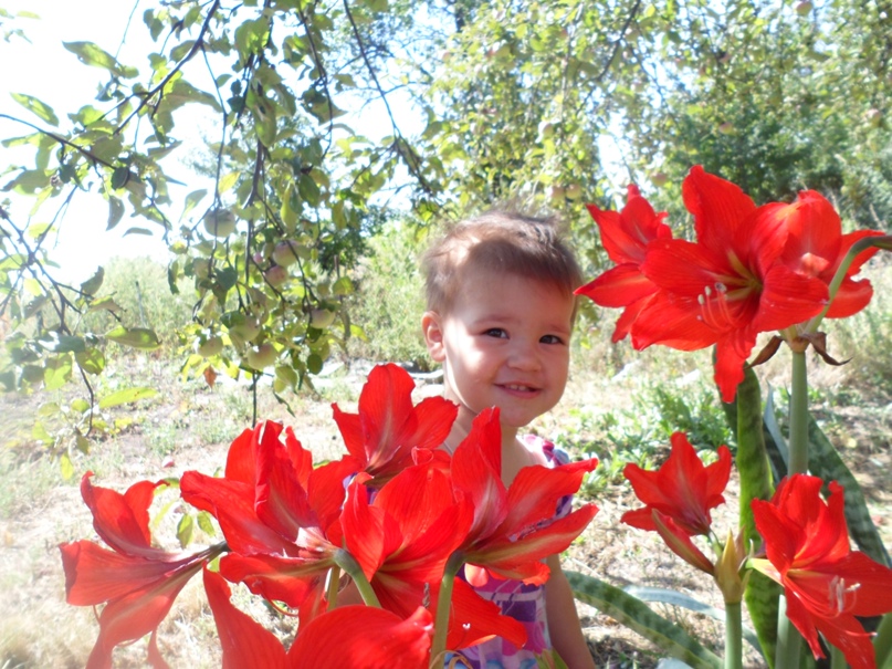 Юлия Кулешова | Покровск / Красноармейск