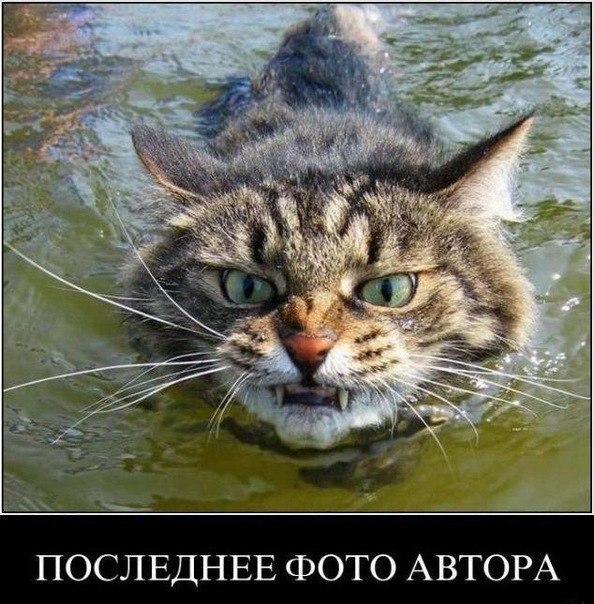 Вадим Шульга | Санкт-Петербург