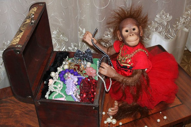 Алёна Чебыкина | Санкт-Петербург