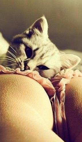 Вадим Соловьев | Санкт-Петербург