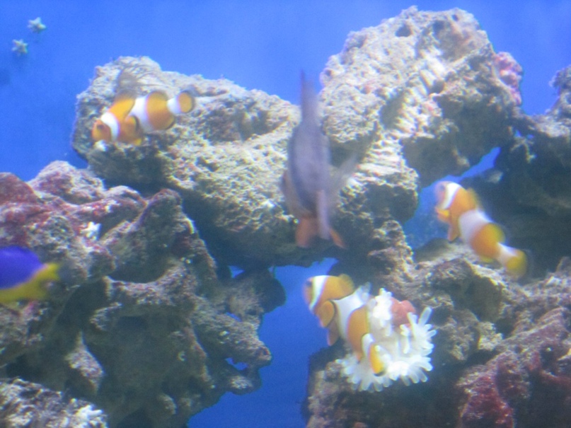 Юра Юрин | Екатеринбург