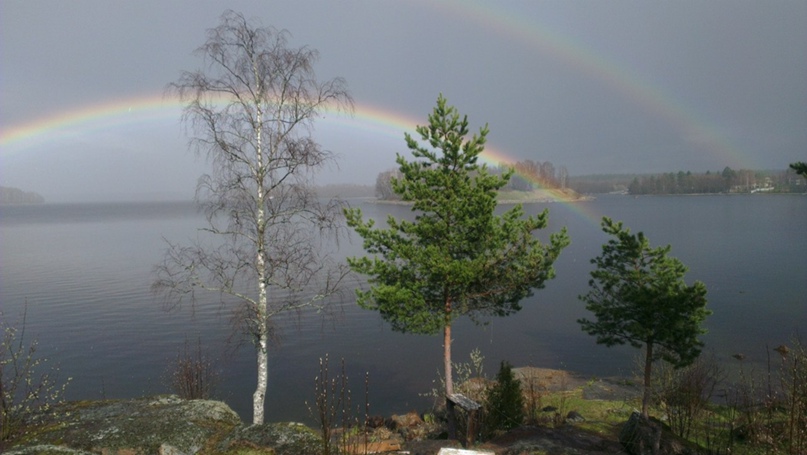 Владимир Богдановский | Санкт-Петербург