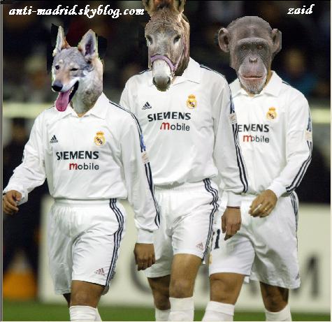 Реал мадрид прикольные Реал мадрид прикольные
