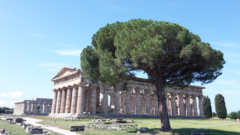 Елена Плетнева | Berlin