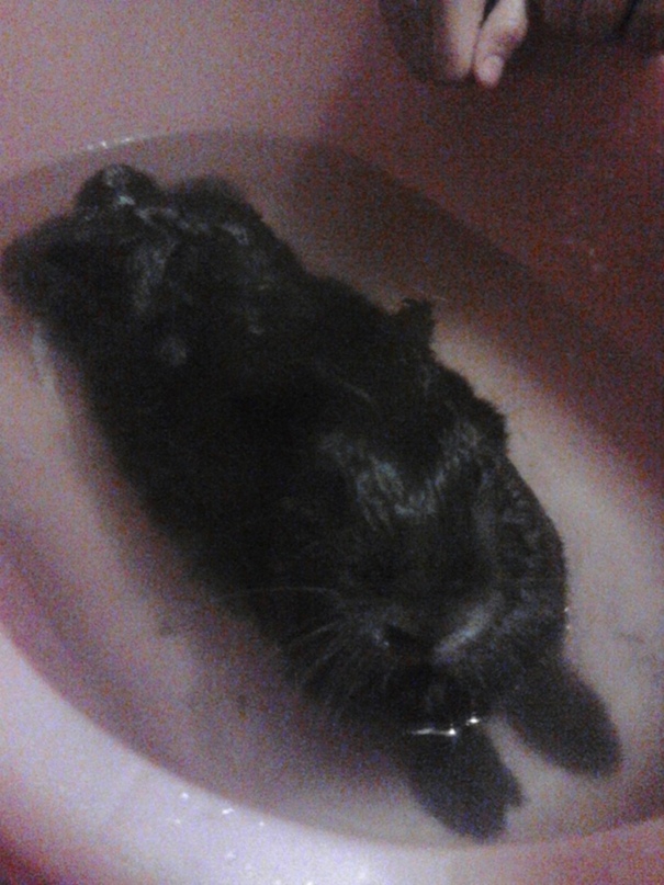 Елена Ольховская | Санкт-Петербург