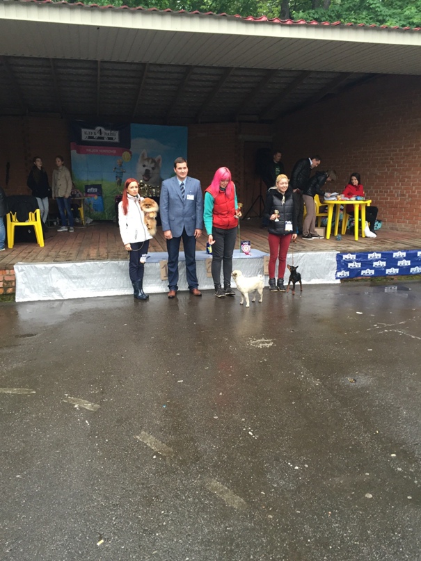 Алёна Науменко | Полтава