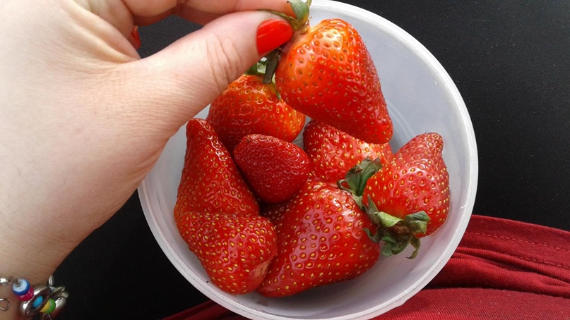 Светлана Казарян | Томск