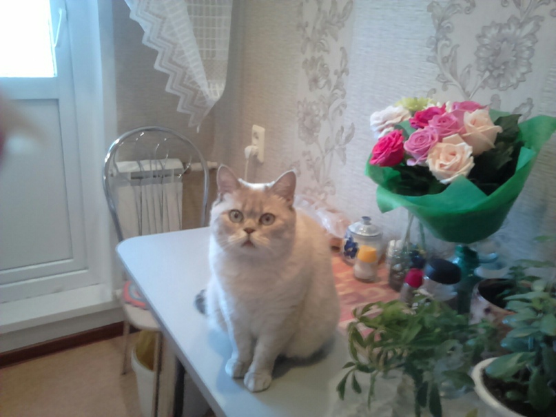 Ирина Ильина | Набережные Челны