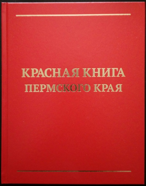 https://sun9-74.userapi.com/impf/c845522/v845522978/160e32/vGAfSXEIn7o.jpg?size=475x604&quality=96&sign=789919311713dcd60d6c2aad58bec5fd&type=album