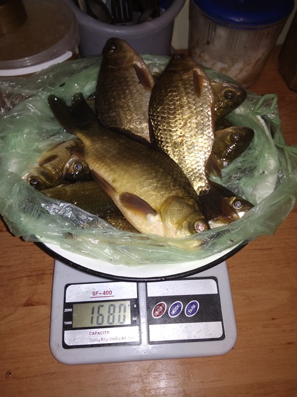 Александр Якубчак | Бахмут / Артемовск