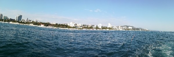 Дмитрий Сальков | Елец