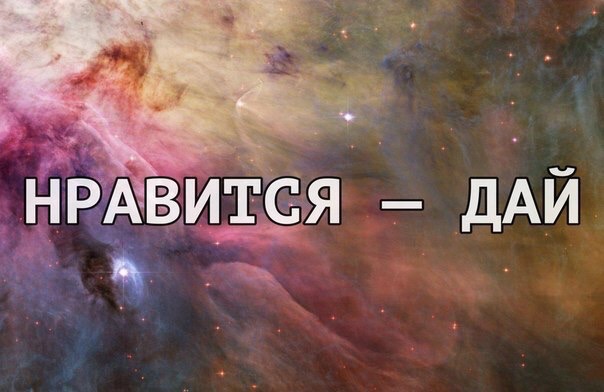 Timoha Evdokimov | Москва