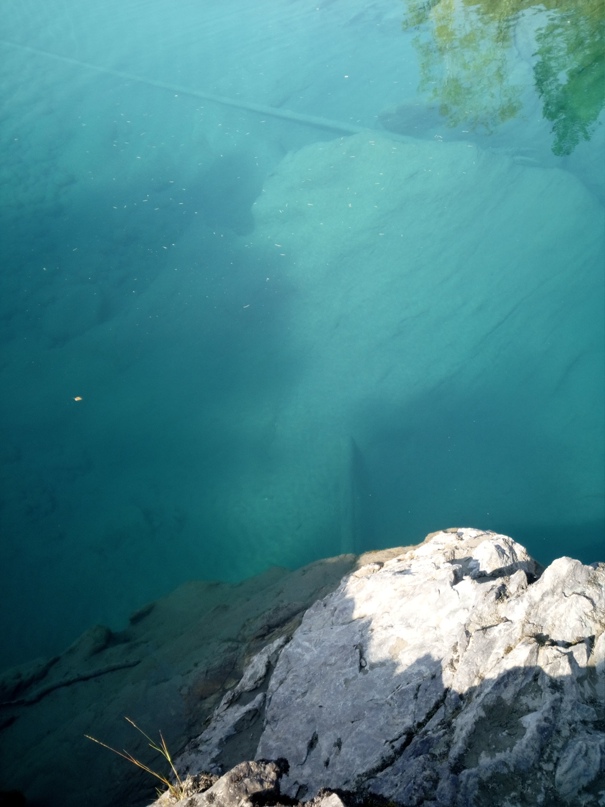 Юрий Касьянов | Новосибирск