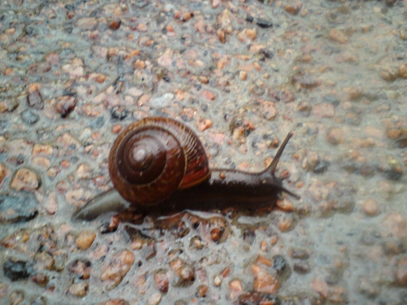 Константин Морозов | Санкт-Петербург