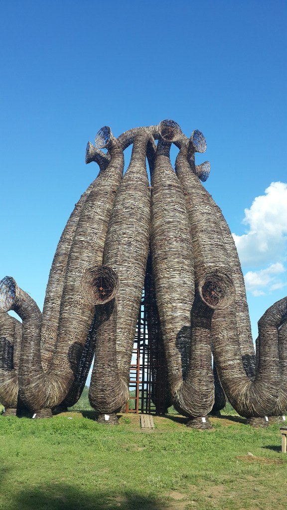 Татьяна Лузина | Нижний Тагил