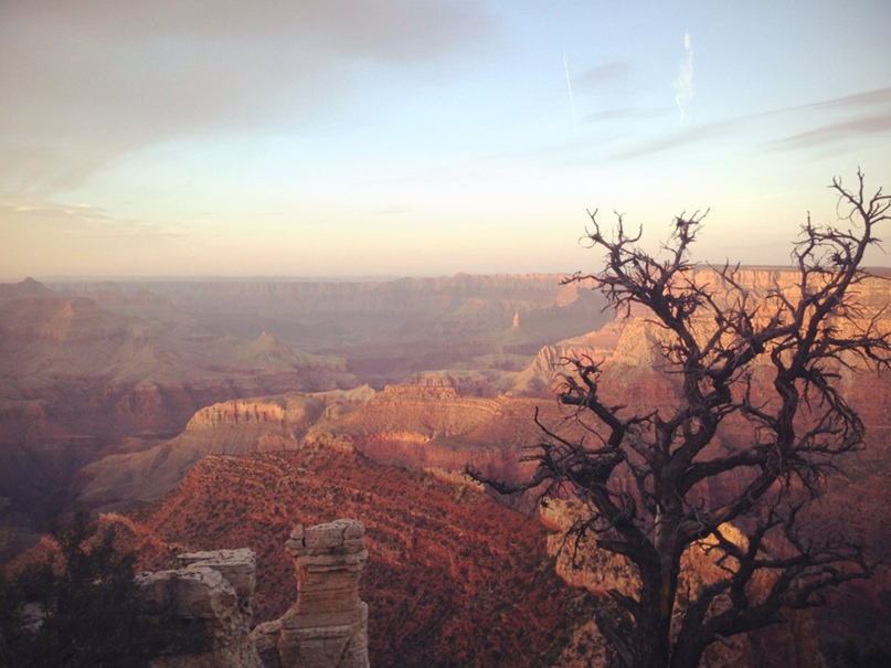 Аня Сафонова | Москва