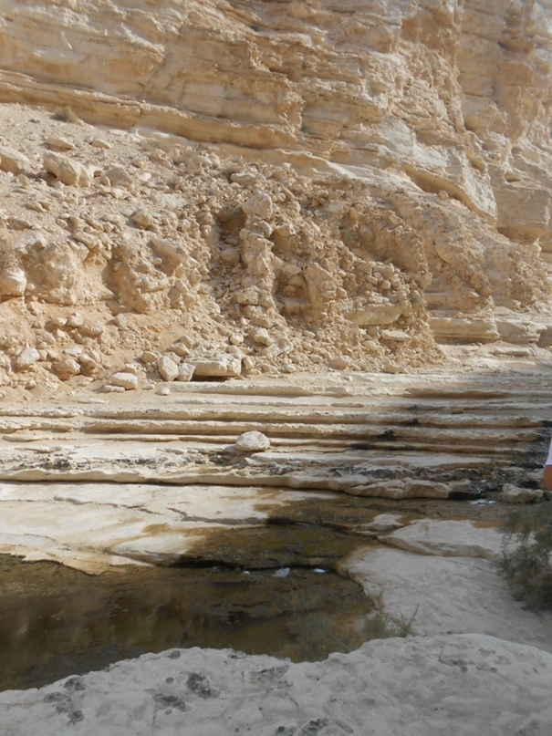 Анна Карпенко | Таганрог