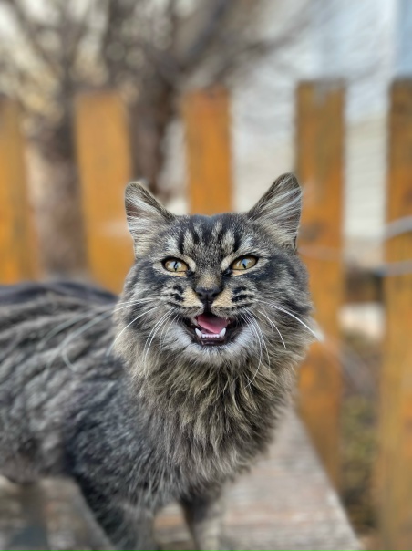 ‼️Уважаемые жители нашего района! ‼️Недавно у нас...