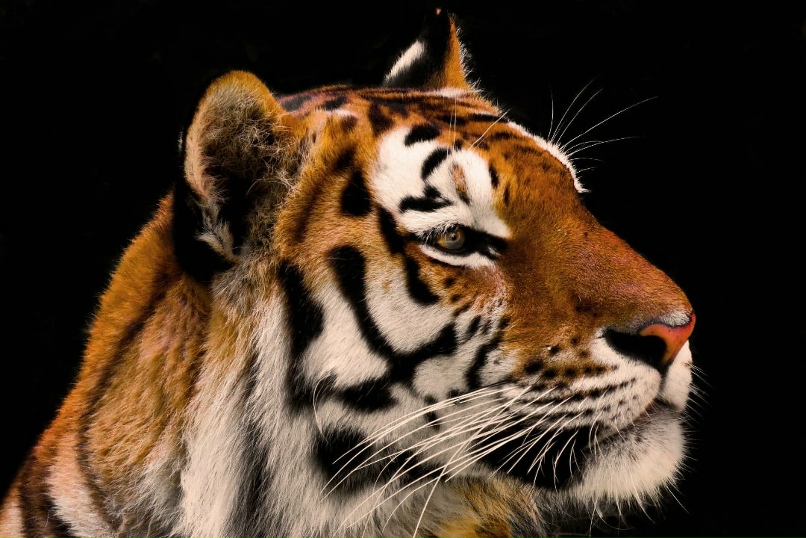 Ирина Сафина | Нефтекамск