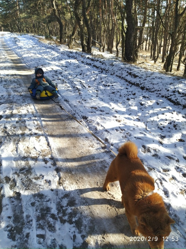 Константин Пастухов | Курск