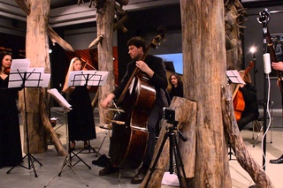 2016-03-06 Венский бас и ансамбль Barocco Concertato  в Эрарте 10