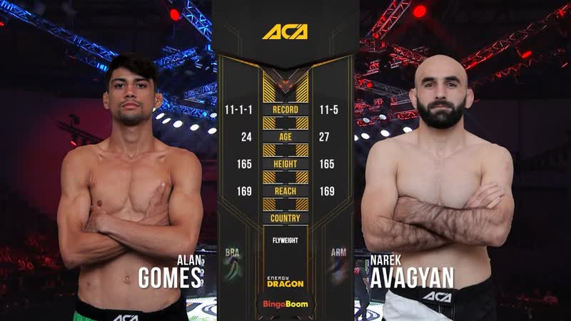 Алан Гомеш де Кастро vs. Нарек Авагян, Alan Gomes de Castro vs. Narek Avagyan,