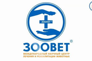 УЗИ грудной клетки