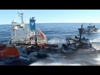 Corps-à-corps entre un baleinier japonais et un bateau de Sea Shepherd en Antarctique