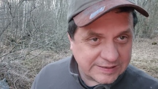 Весеннее оздоровление.Почки деревьев вместо лекарств.