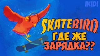 ПТИЧКИ КАТАЮТСЯ НА СКЕЙТЕ | Skatebird