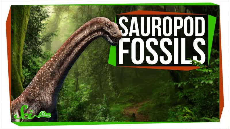 Two New Sauropods Generate Excitement and Controversy, Sci Show